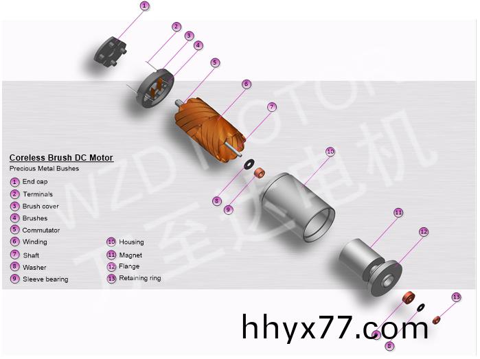 空心杯电机的结构 空心杯电机的结构