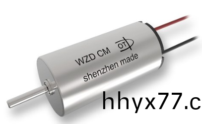 电动牙刷空心杯电机