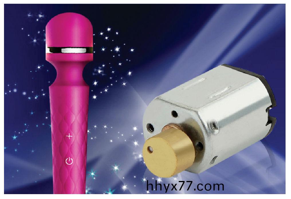 成人情趣用品电机-成人用品马达定制生产厂家-万至达电机