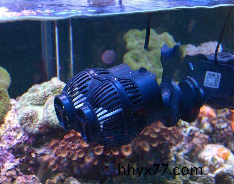 造浪泵应该选用哪一种电机 造浪泵应该选用哪一种电机