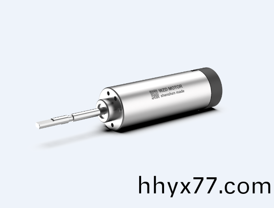 扫振电动牙刷无刷伺服电机解决方案 扫振电动牙刷无刷伺服电机解决方案