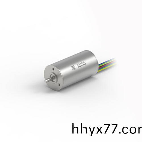 OT-ECS 2446无槽无刷直流电机