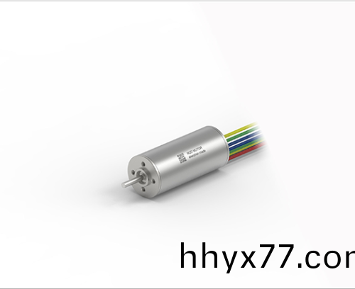 OT-ECS 1636无槽无刷直流电机