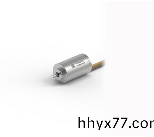 OT-ECS 1220无槽无刷直流电动机