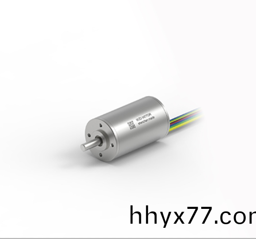 OT-ECS3660空心杯电机 OT-ECS3660空心杯电机