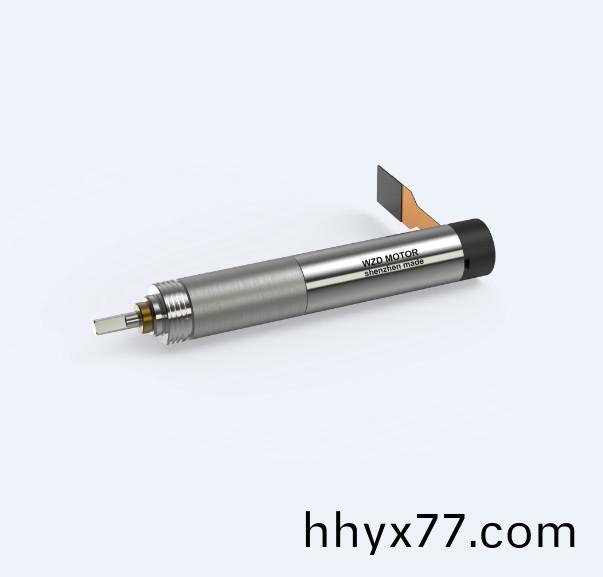 WZD-ECS0621A灵巧手电机